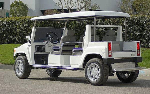 affordable golf cart rental, golf cart rent georgia, cart rental georgia