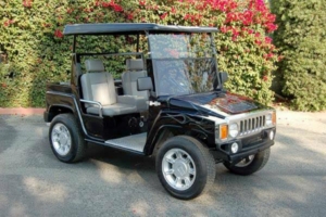 affordable golf cart rental, golf cart rent georgia, cart rental georgia