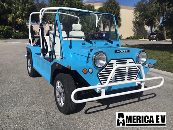 affordable golf cart rental, golf cart rent georgia, cart rental georgia