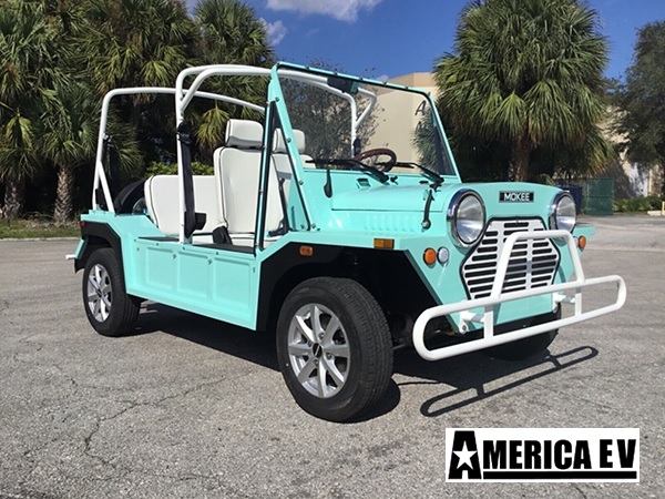 affordable golf cart rental, golf cart rent georgia, cart rental georgia