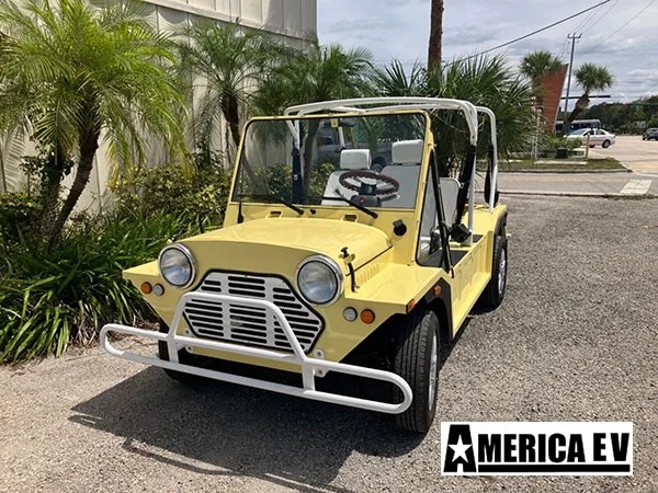 affordable golf cart rental, golf cart rent georgia, cart rental georgia